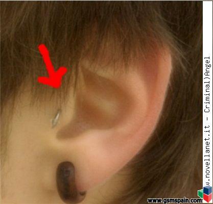 Me voy a hacer un piercing en el trago ( zona de la oreja ), Me voy a hacer un piercing en el trago ( zona de la oreja ),