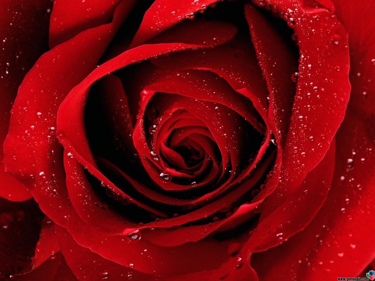 Comparte tu fondo de escritorio