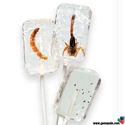 piruletas vodka escorpion y gusano