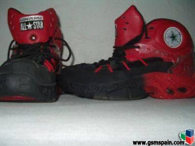 zapatillas dennis rodman