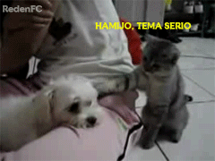 Nuevo en el foro ;)