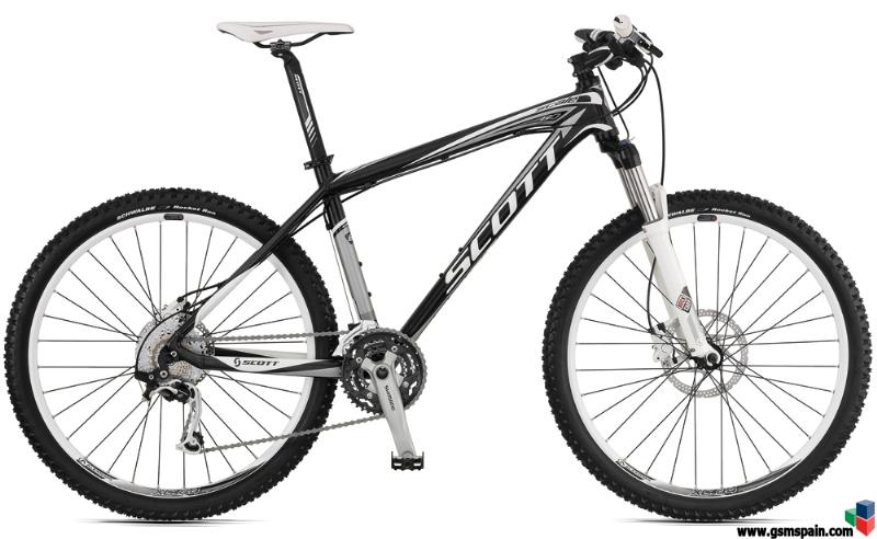 scott scale 60 2013
