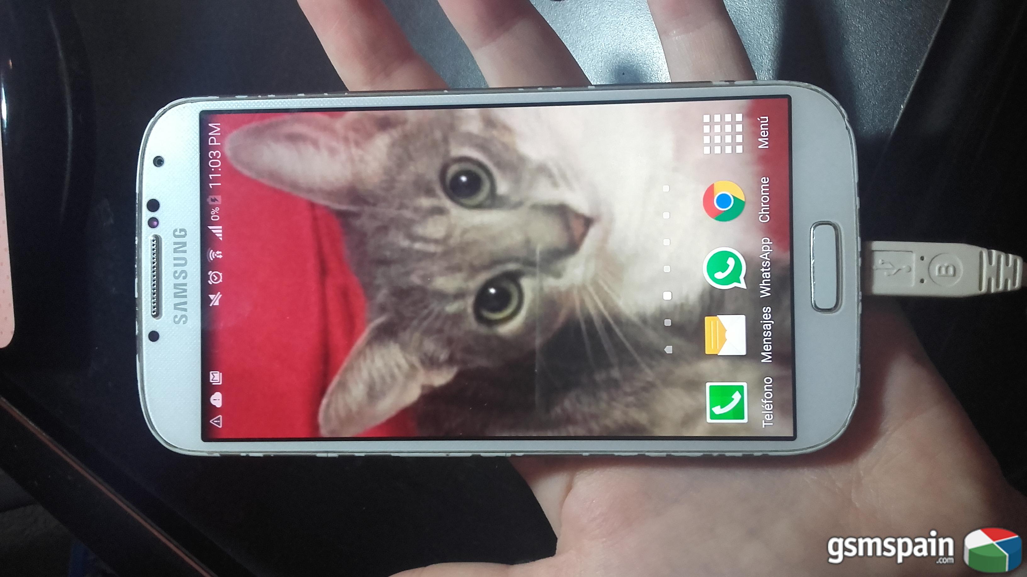 [VENDO] Samsung Galaxy    S4   100  g.i