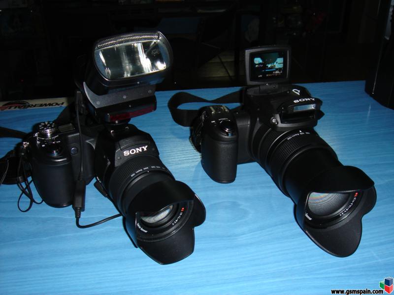Sony R1 o Canon 350D?