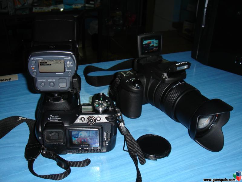 Sony R1 o Canon 350D?