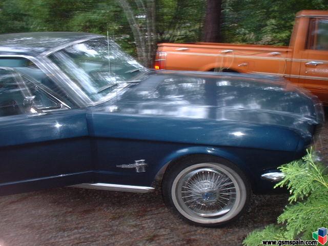 un mustang en mi barrio!!!