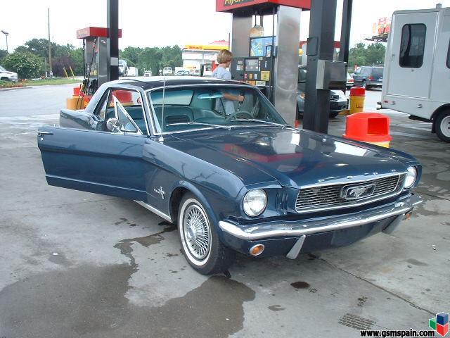 un mustang en mi barrio!!!