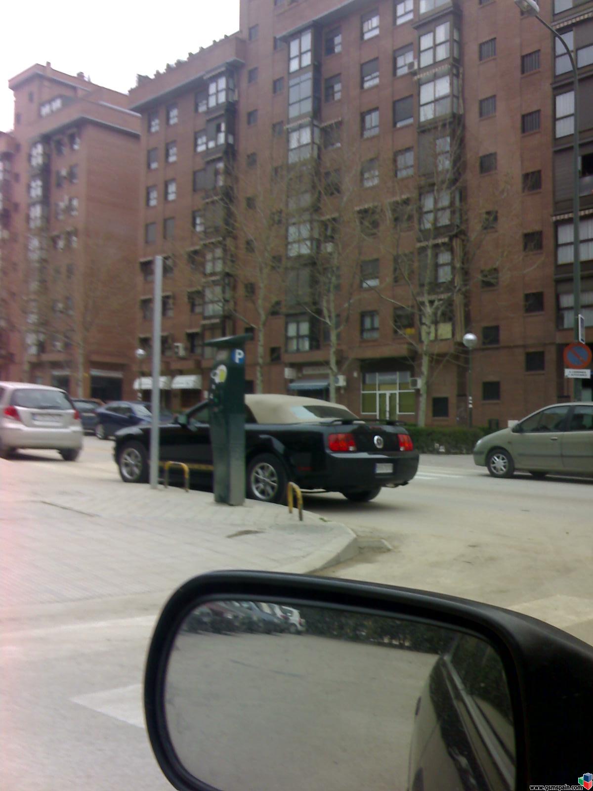 un mustang en mi barrio!!!