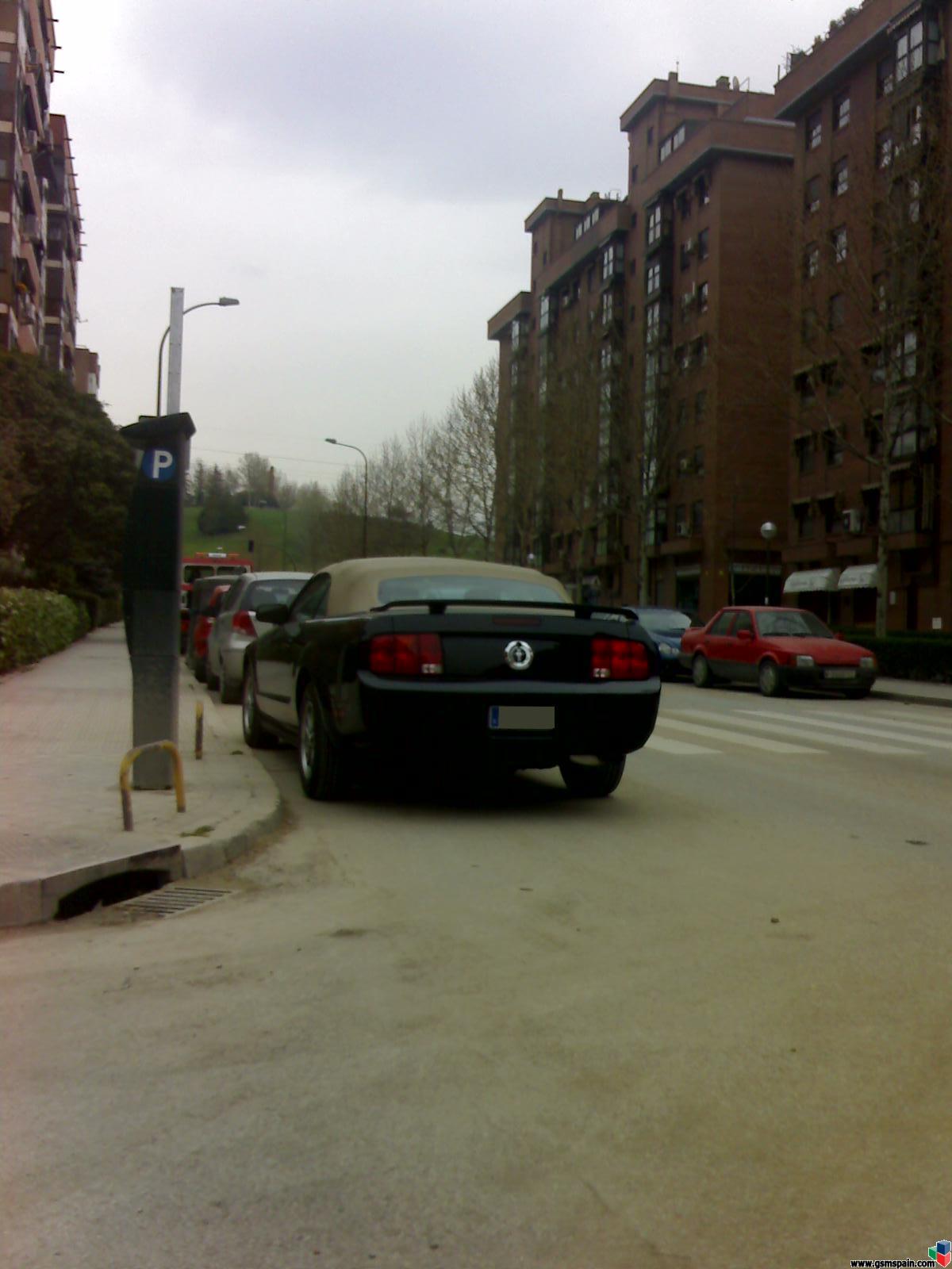 un mustang en mi barrio!!!