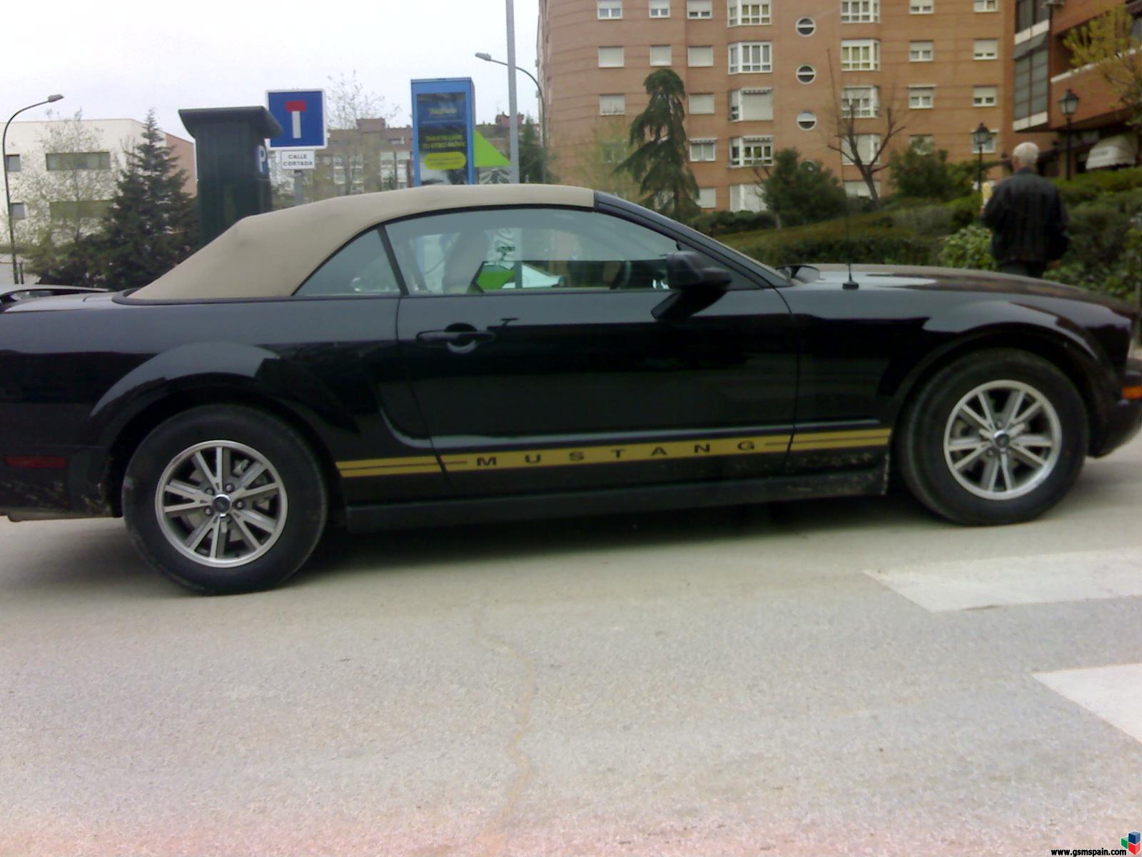 un mustang en mi barrio!!!