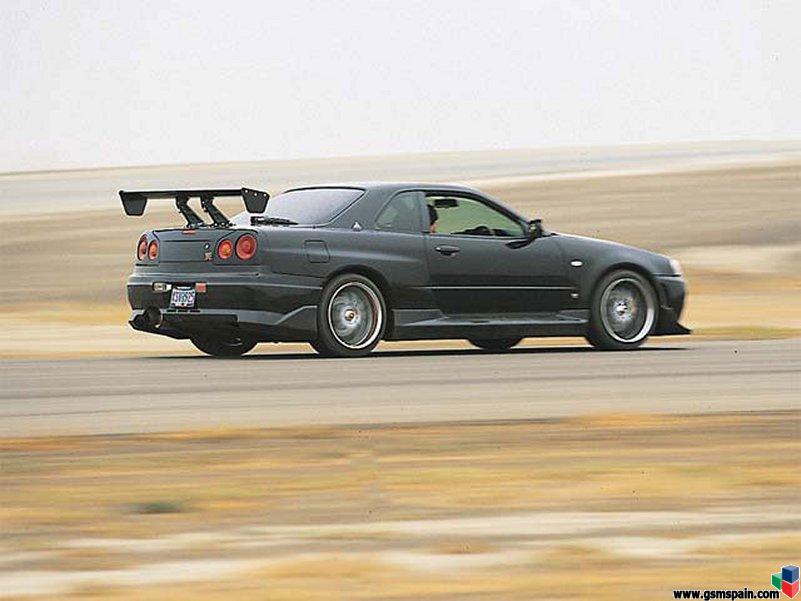 Mustang!!